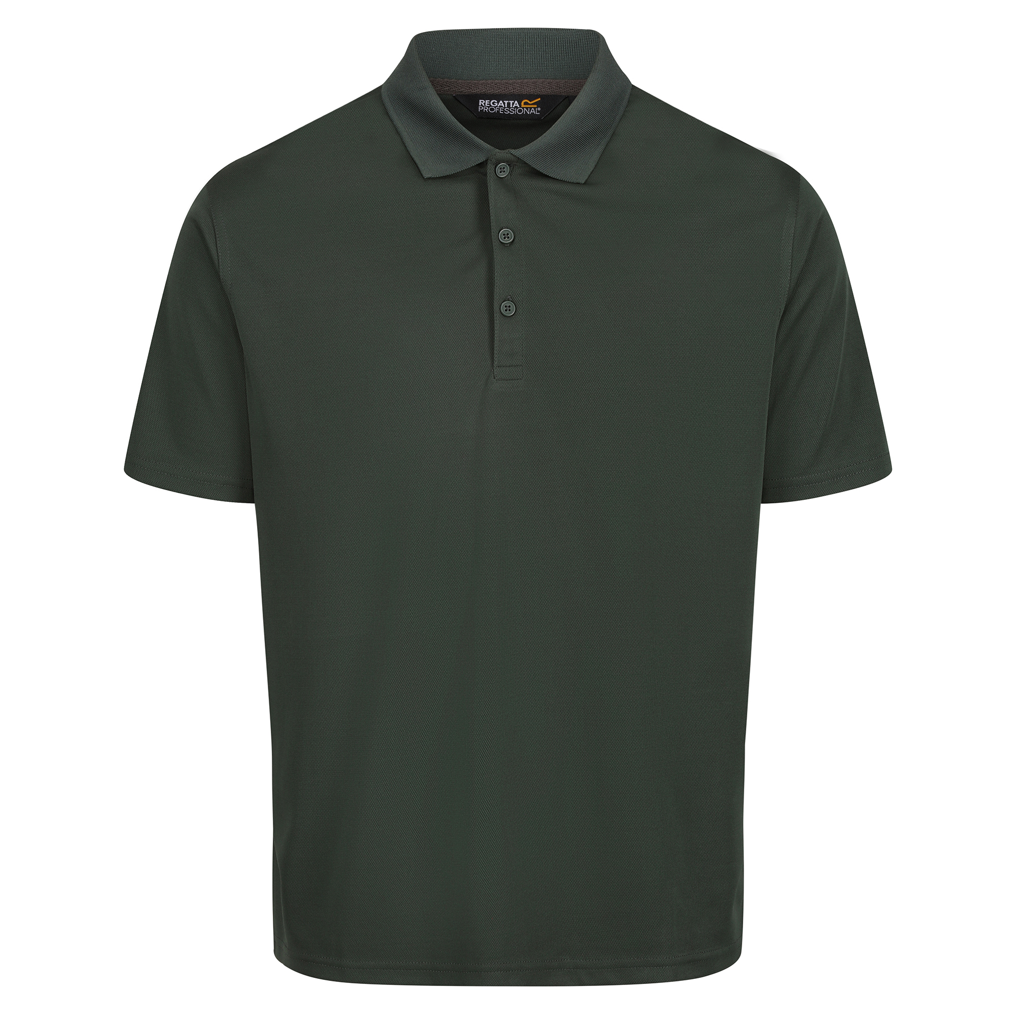 #colour_dark-green
