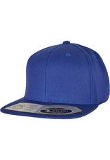 Flexfit By Yupoong 110 Fitted Snapback (110)