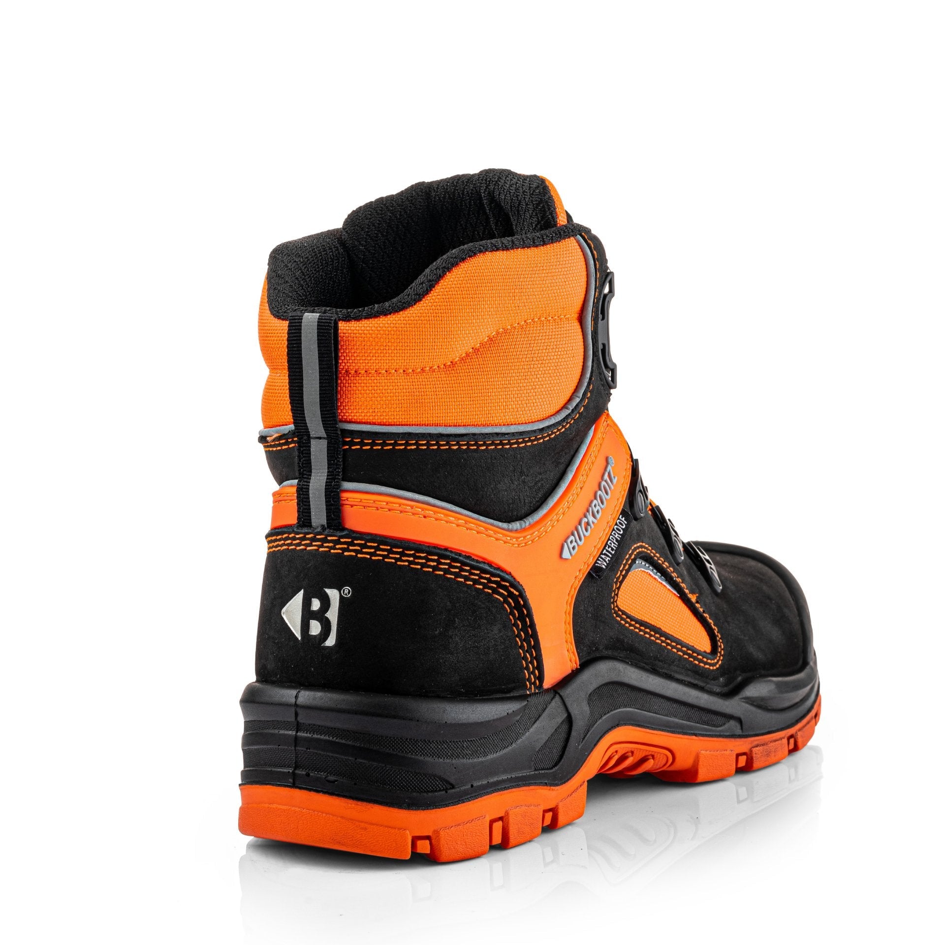BVIZ7_BKOR_5