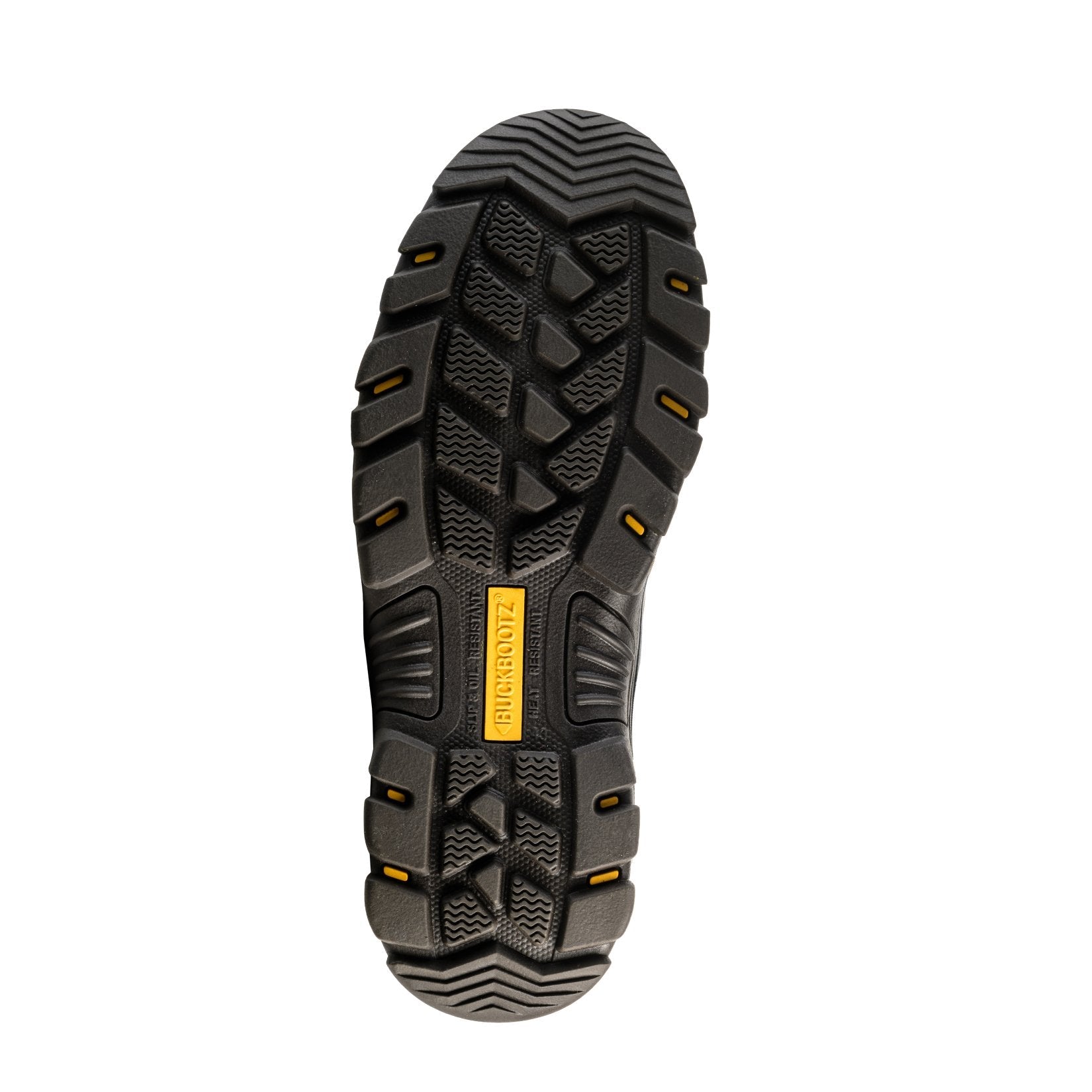HYB2_Sole