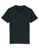 Stanley/Stella Unisex Creator Iconic T-Shirt (Sttu755) - Black