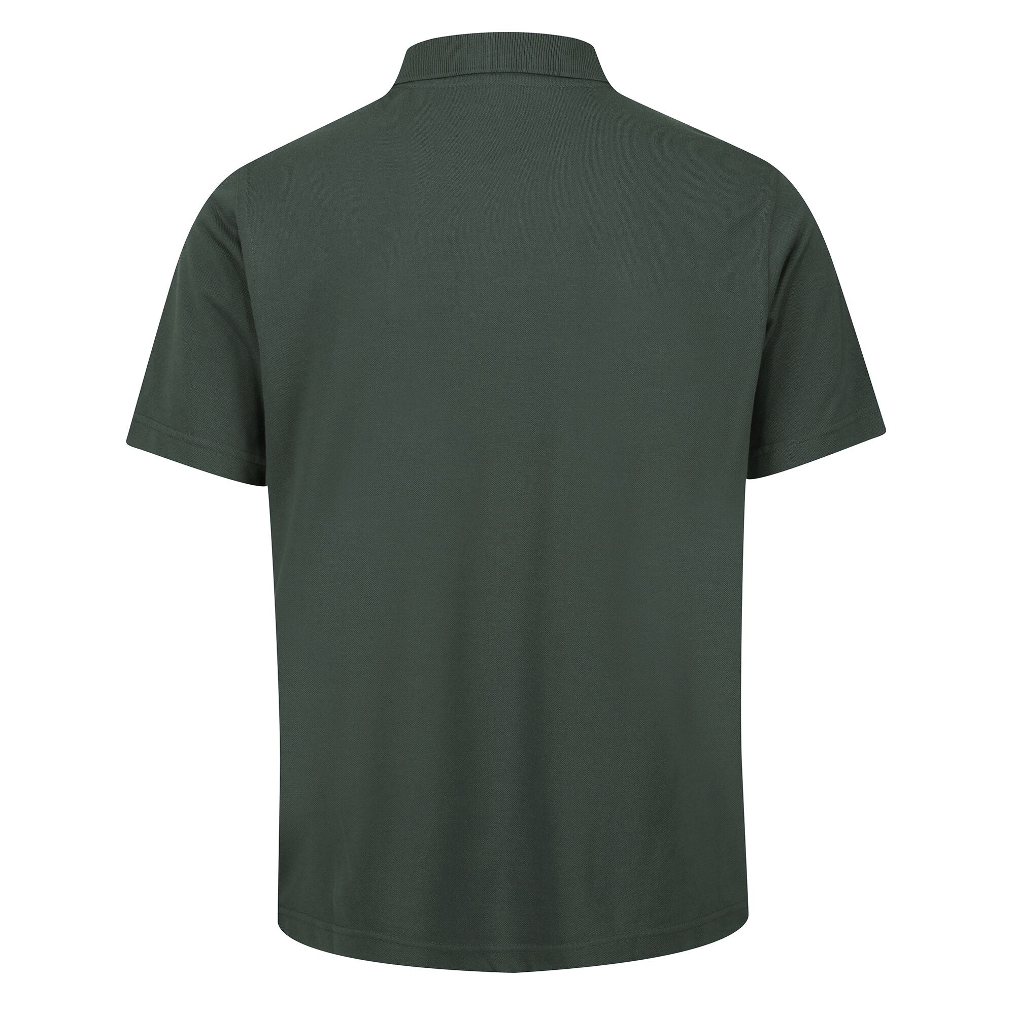 #colour_dark-green