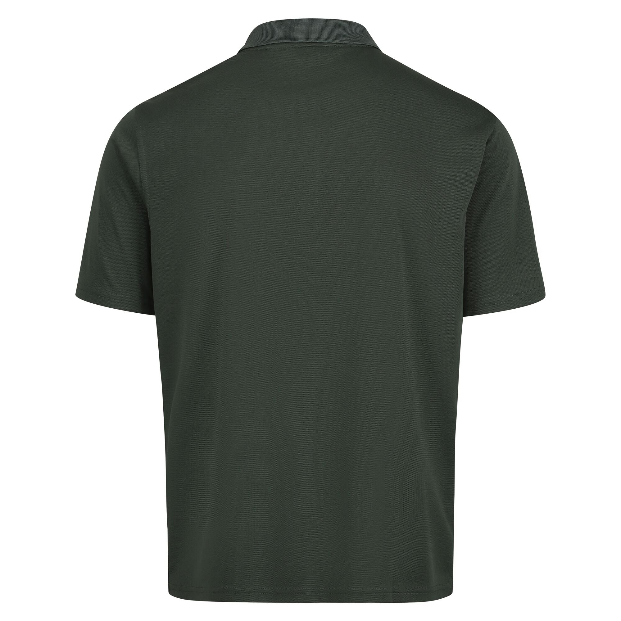 #colour_dark-green