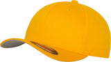 Flexfit By Yupoong Flexfit Fitted Baseball Cap (6277)