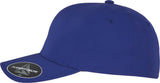 Flexfit By Yupoong Flexfit Delta Cap (180)