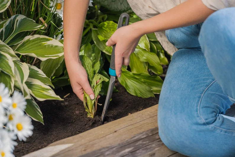 Gardena Weeding Trowel