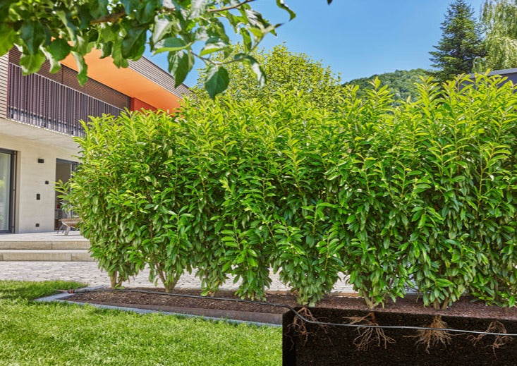 Gardena MDS Set Bushes/Hedges 25m
