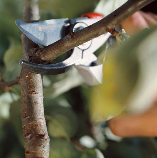 Gardena Premium Secateurs B+/L 1