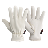 Ivory Drivers Glove