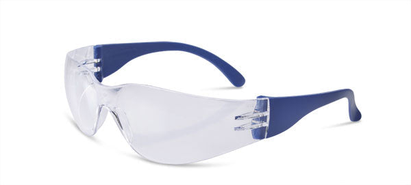 Beeswift Everson Safety Spectacle Clear