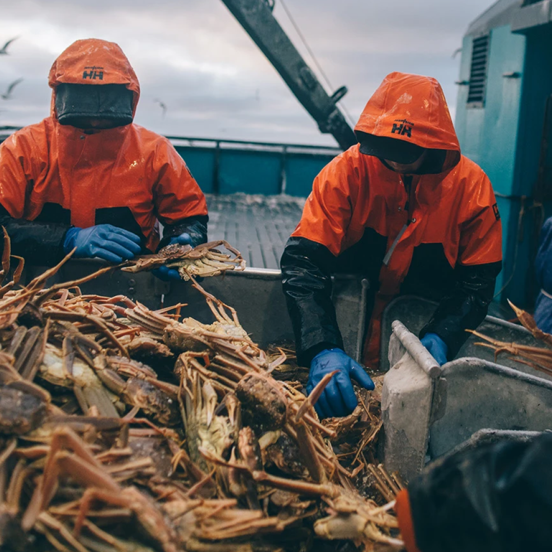 #colour_orange-black